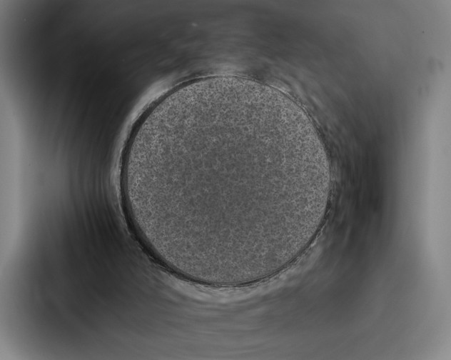 X0000086890006200705141632