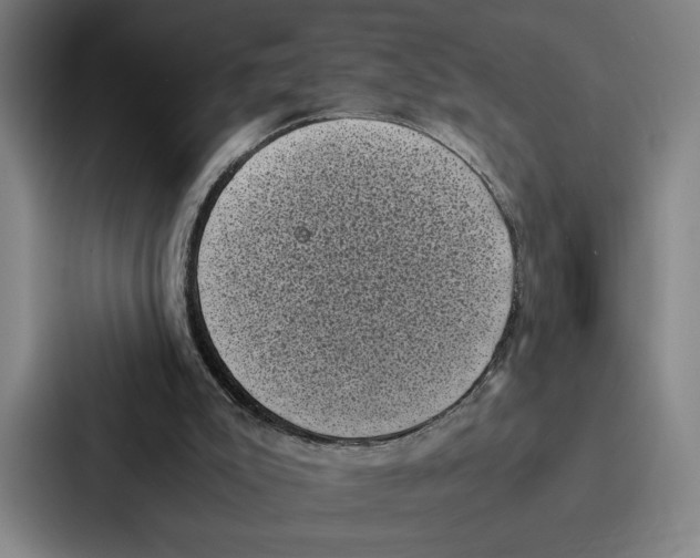 X0000086890007200705141632