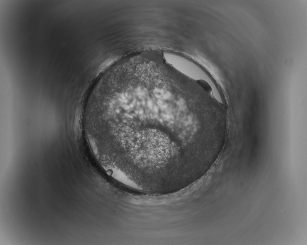 X0000086890009200705141632