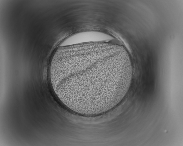 X0000086890010200705141632