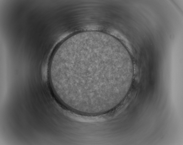 X0000086890012200705141632