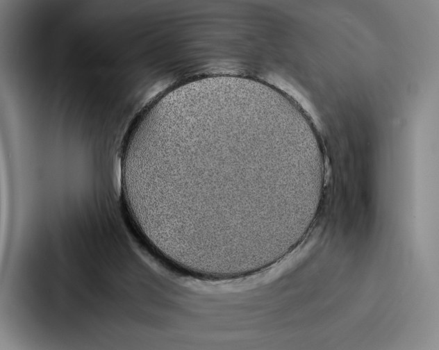 X0000086890013200705141632