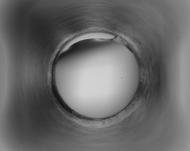 X0000086890015200705141632