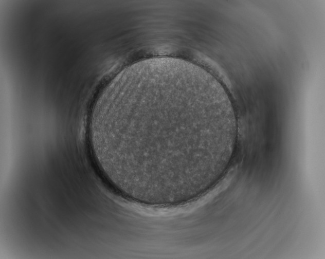 X0000086890018200705141631