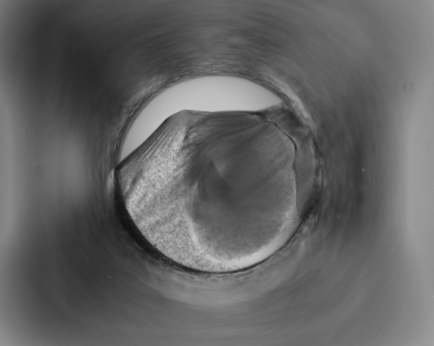 X0000086890019200705141631