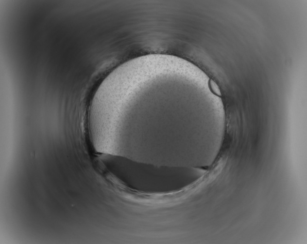 X0000086890023200705141631