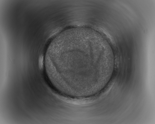 X0000086890024200705141631