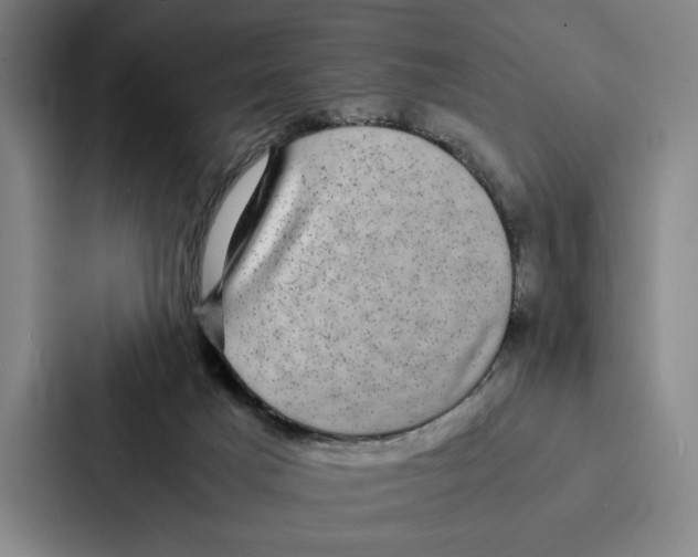 X0000086890025200705141631