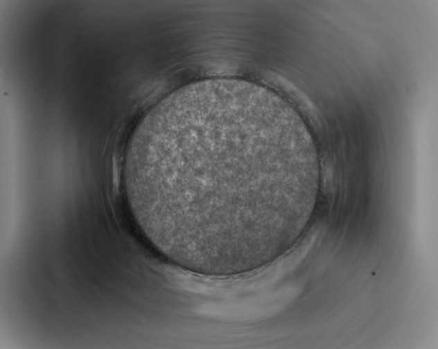 X0000086890026200705141631