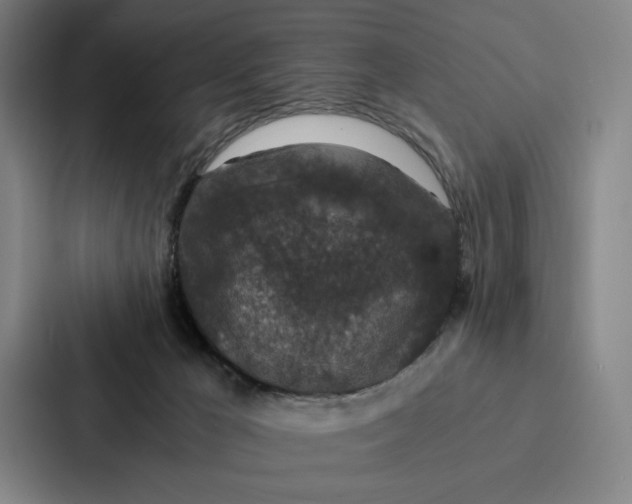 X0000086890029200705141631