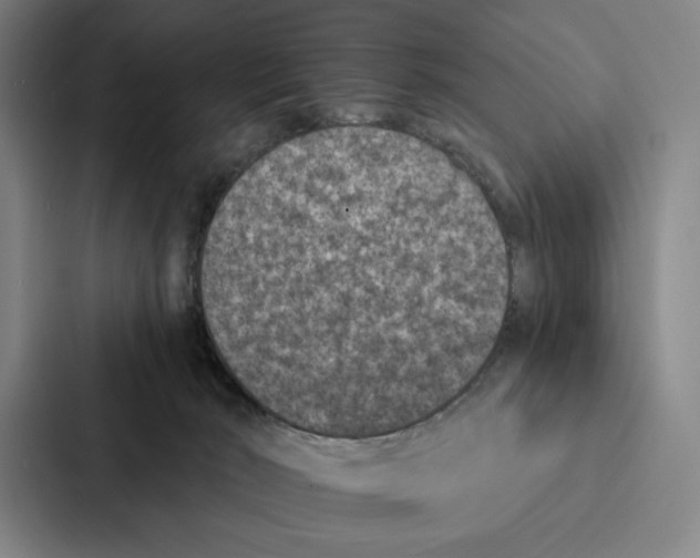 X0000086890030200705141631