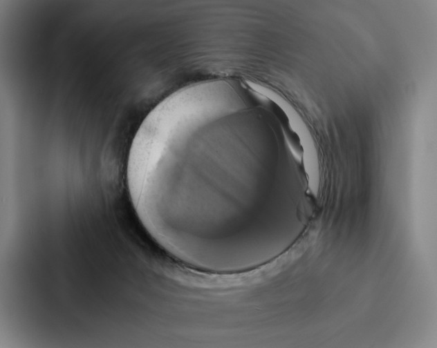 X0000086890031200705141631