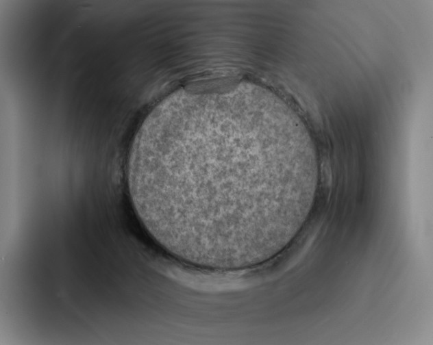 X0000086890032200705141631