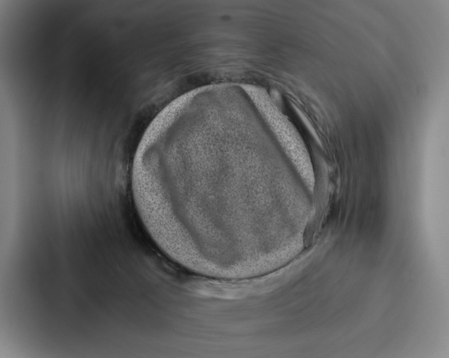 X0000086890033200705141631