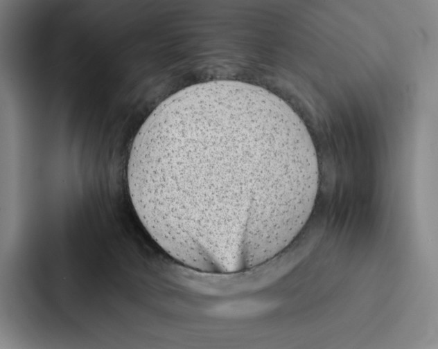 X0000086890034200705141631