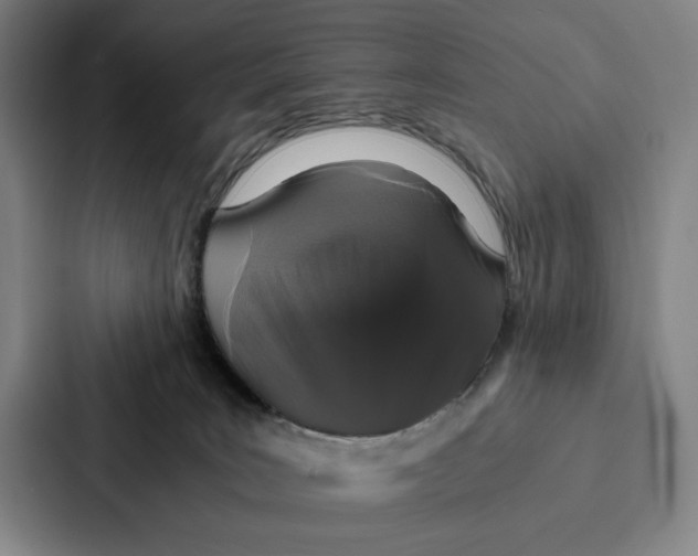 X0000086890035200705141631