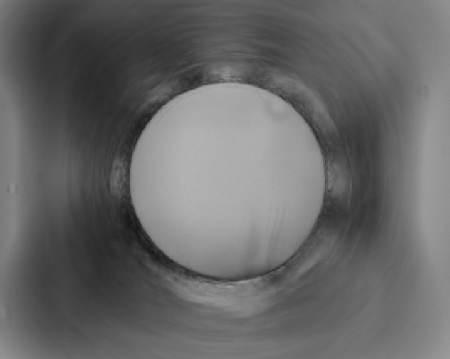 X0000086890036200705141631