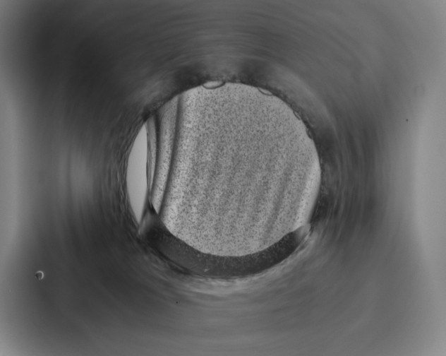 X0000086890037200705141631