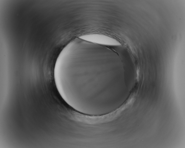 X0000086890039200705141631