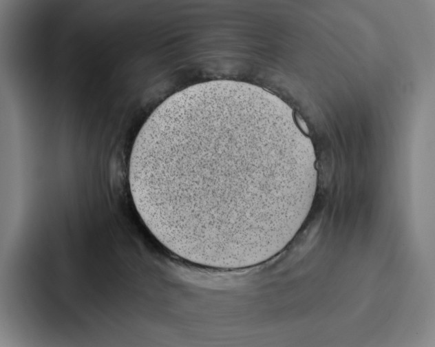 X0000086890040200705141631