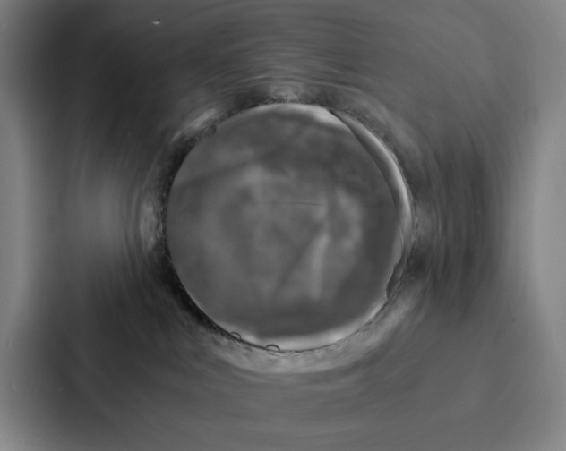 X0000086890043200705141631