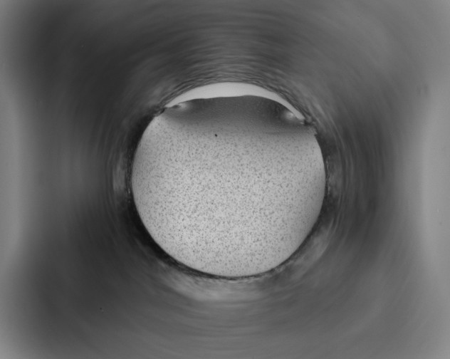 X0000086890044200705141631