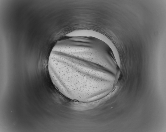 X0000086890045200705141631