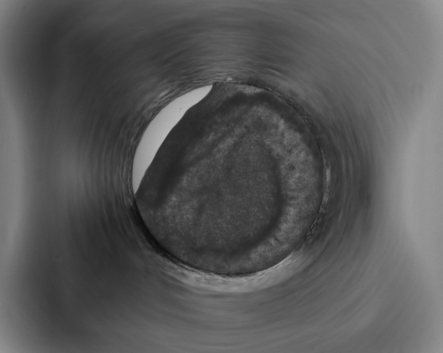 X0000086890048200705141631