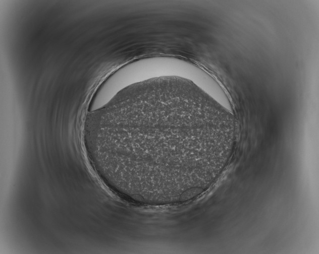 X0000086890049200705141630