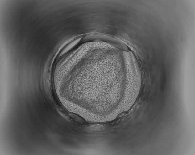 X0000086890050200705141631