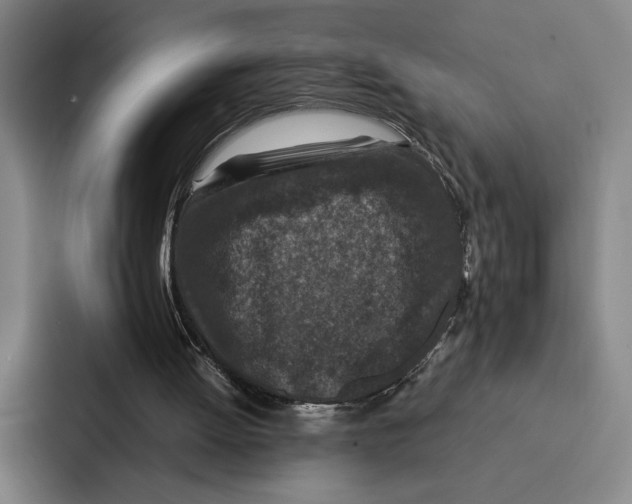 X0000086890052200705141631