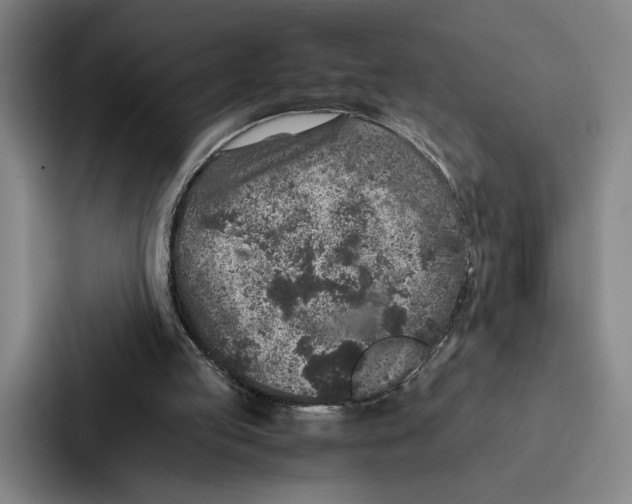 X0000086890053200705141631