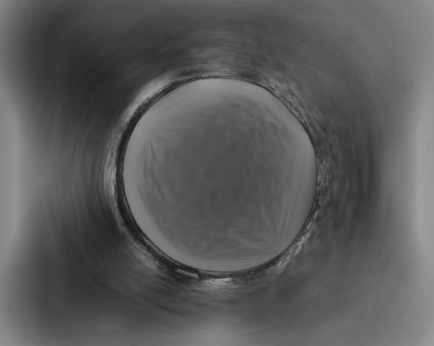 X0000086890054200705141631