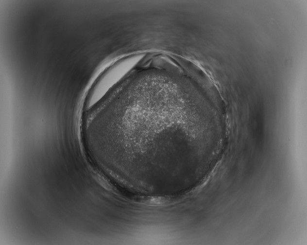 X0000086890056200705141631