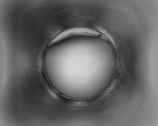 X0000086890057200705141631