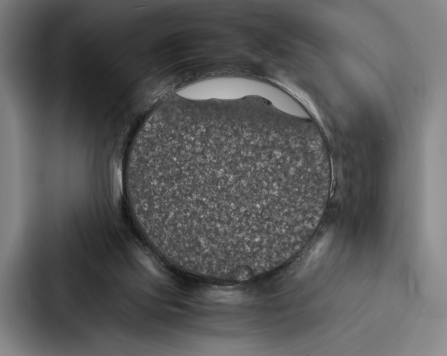 X0000086890061200705141631