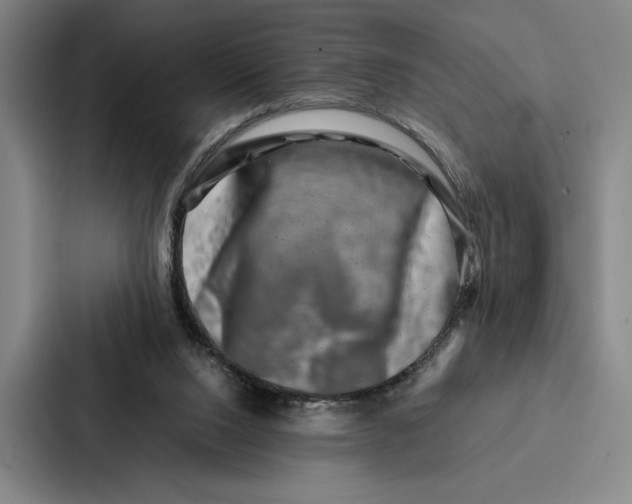 X0000086890064200705141631