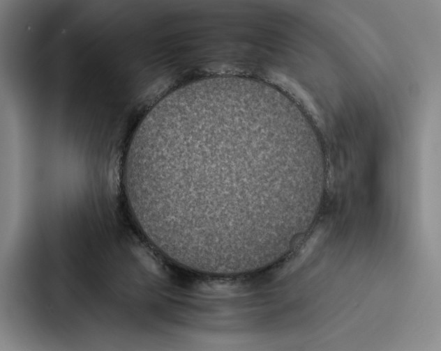 X0000086890065200705141631