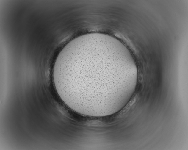 X0000086890066200705141631