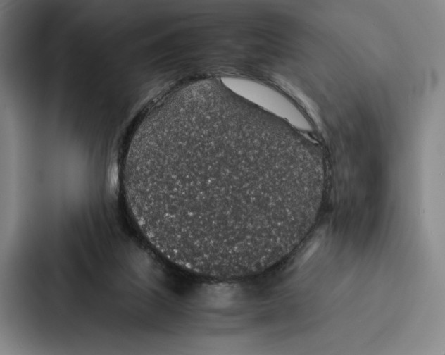 X0000086890067200705141631