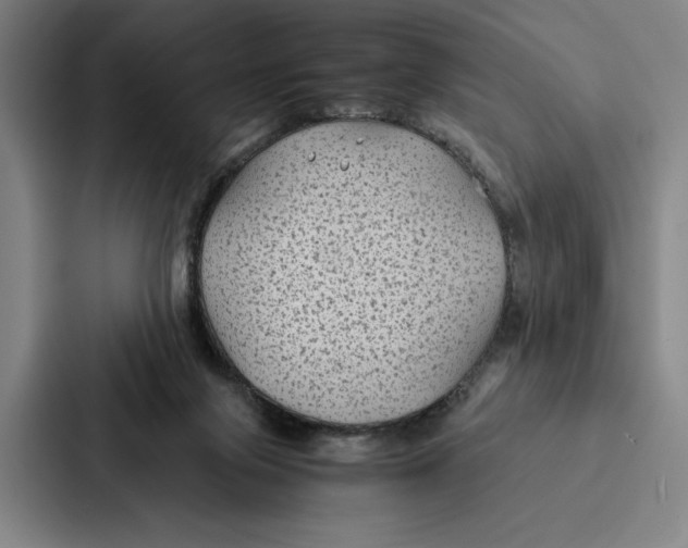 X0000086890071200705141631