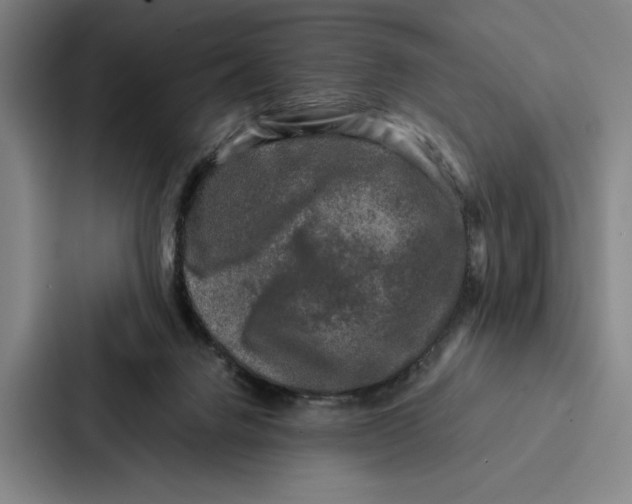 X0000086890072200705141631