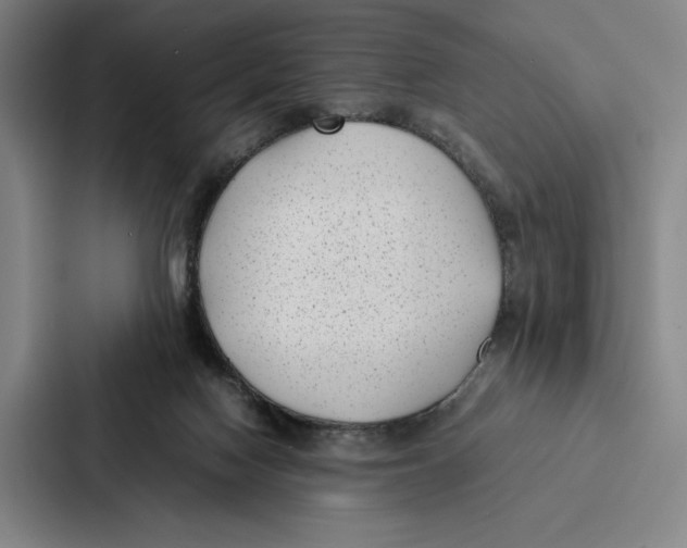 X0000086890074200705141631