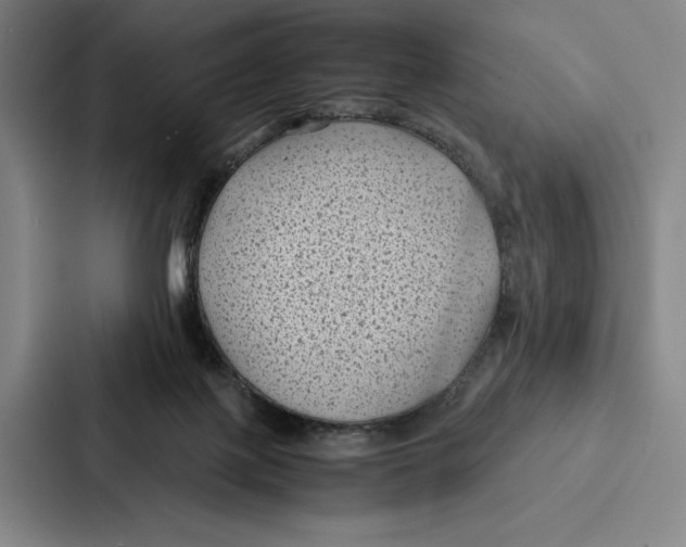 X0000086890075200705141631