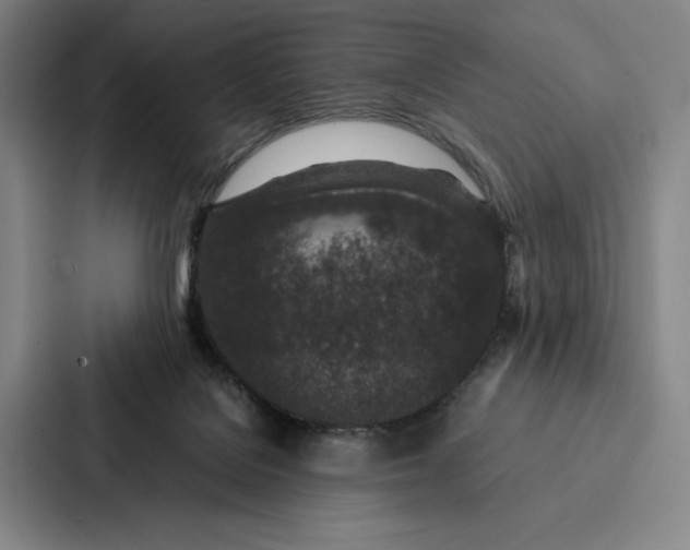 X0000086890076200705141631