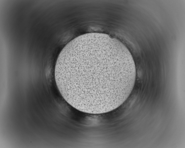 X0000086890079200705141631