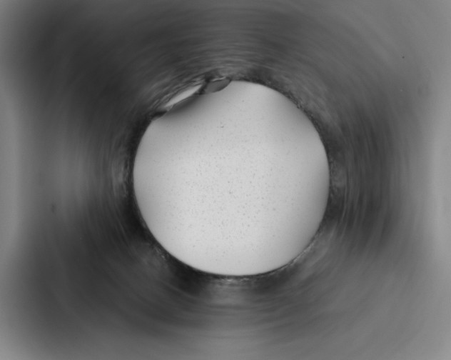 X0000086890082200705141631