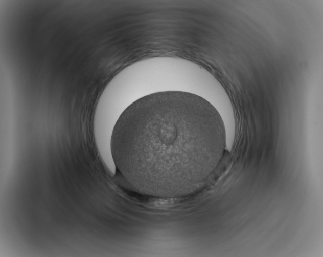 X0000086890084200705141631