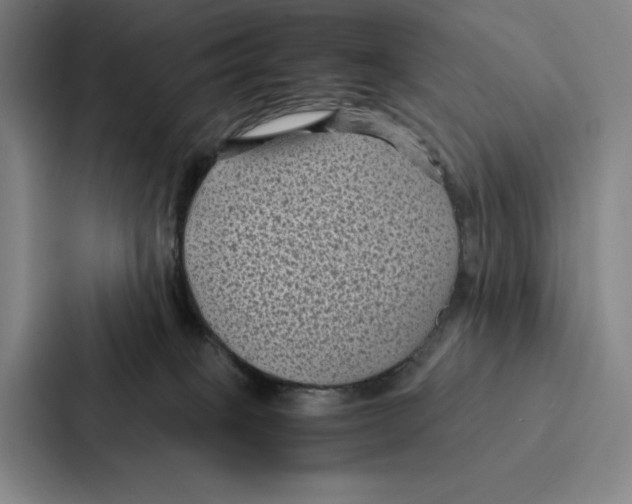 X0000086890085200705141631