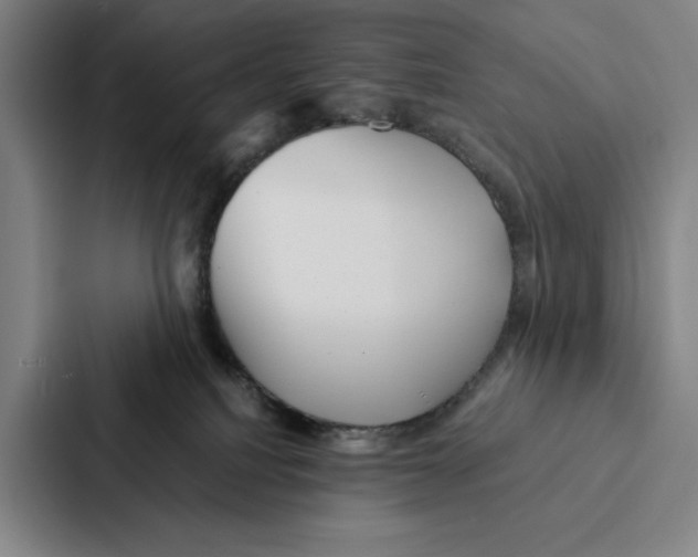 X0000086890088200705141631